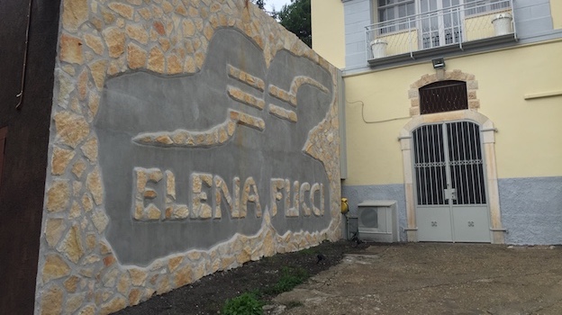 Elena Fucci WInery