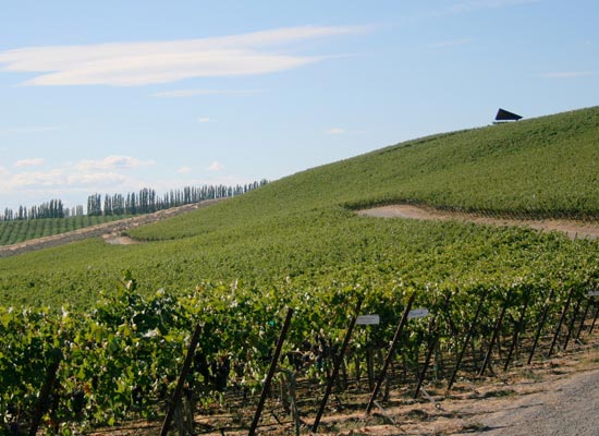 Baer Vineyard Sillwater